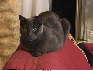 airline flights from Rio de Janeiro to Iguazu - cool actors in costumes