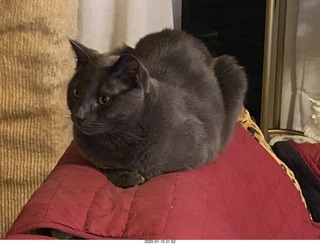 airline flights from Rio de Janeiro to Iguazu - cool actors in costumes