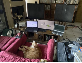 Max in my hifi/computer throne chair