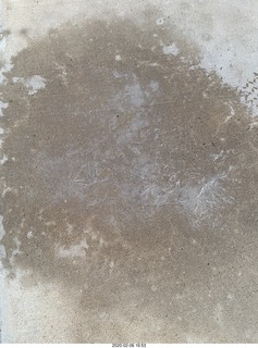 The icy hand of Scottsdale winter