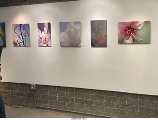 Lisa Marcelle Nowitz photo gallery show