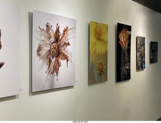 Lisa Marcelle Nowitz photo gallery show
