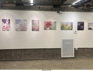 Lisa Marcelle Nowitz photo gallery show