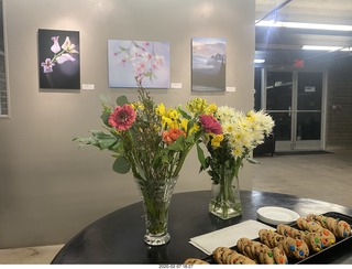 Lisa Marcelle Nowitz photo gallery show