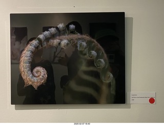 Lisa Marcelle Nowitz photo gallery show