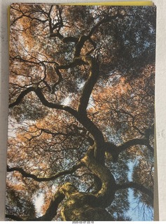Lisa Marcelle Nowitz photo gallery show