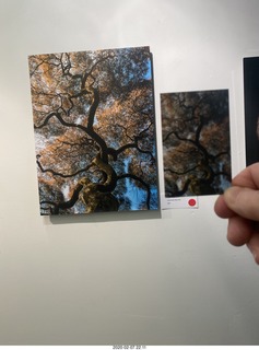 Lisa Marcelle Nowitz photo gallery show
