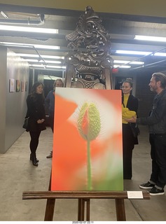 Lisa Marcelle Nowitz photo gallery show