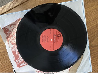 gold record (fake) Dark Side of the Moon