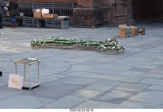 Princeton University Alumni Day - wedding proposal