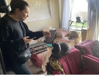 Philip E. Rosenberg calendar + other stuff + my cat Devin