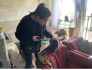 Philip E. Rosenberg calendar + other stuff + my cat Devin