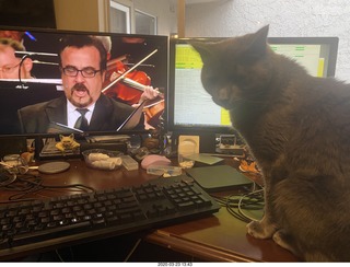 Philadelphia - Academy of Music - Pennsylvania Ballet - La Bayadere - boxes