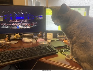 Philadelphia - Academy of Music - Pennsylvania Ballet - La Bayadere - boxes