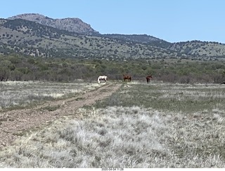 262 a0q. Double Circle airstrip runway