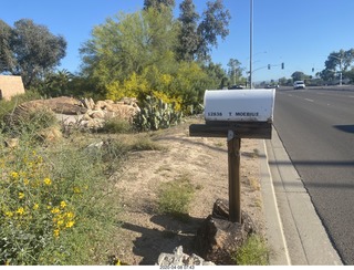 Scottsdale Road T MOEBIUS mailbox