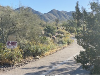 Lost Dog Wash hike