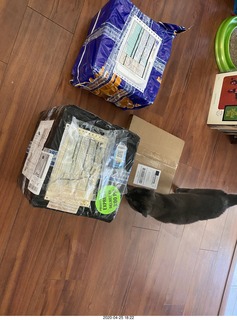 boxes of new tapes and a record and a cat