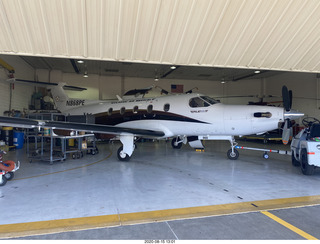 my house - Marcelle's fern pictures