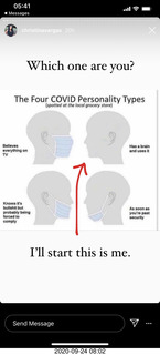 COVID personality types