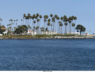 Los Angeles harbor - palm trees