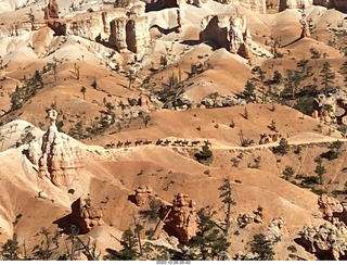 Bryce Canyon - horses and riders