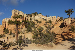 Bryce Canyon dawn