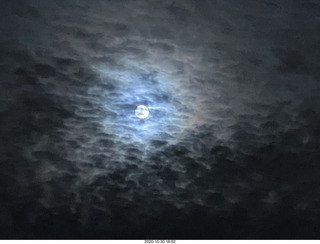 gold record (fake) Dark Side of the Moon