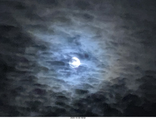 gold record (fake) Dark Side of the Moon