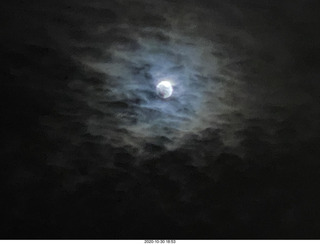 gold record (fake) Dark Side of the Moon