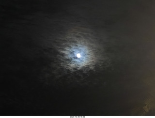 gold record (fake) Dark Side of the Moon