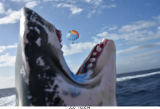 Anthony and Olga - Hawaii - parasailing