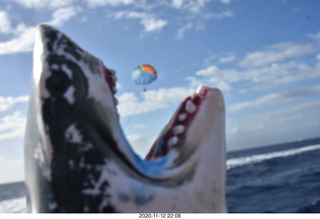 Anthony and Olga - Hawaii - parasailing