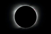 26: eclipse-131726674_2812043305723540_3717940570747307651_n.jpg