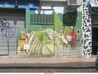 126 a0y. Argentina - Buenos Aires tour - mural