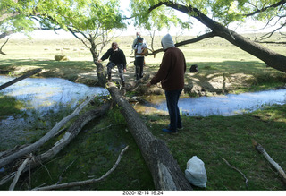 116 a0y. Argentina Eclipse Day - folks crossing the creek on a log