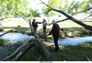 117 a0y. Argentina Eclipse Day - folks crossing the creek on a log
