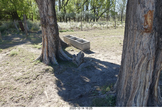 151 a0y. Argentina Eclipse Day - eclipse site run - animal watering area