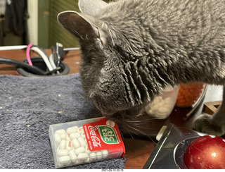Coca-cola Tic-Tacs + my cat Devin