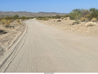 Alamo Lake run