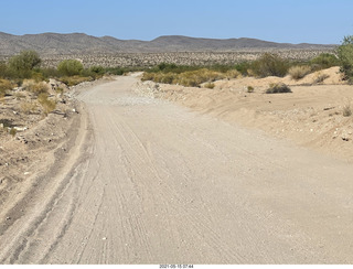 Alamo Lake run