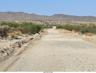 Alamo Lake run