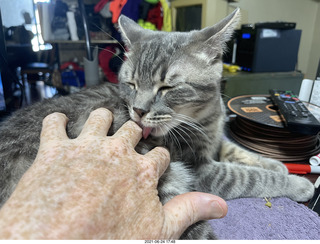 cat Potato and my hand