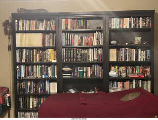 cat Potato atop my bookshelves