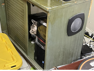 cat Potato in my computer cabinet