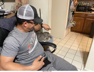 cat Potato on my desk
