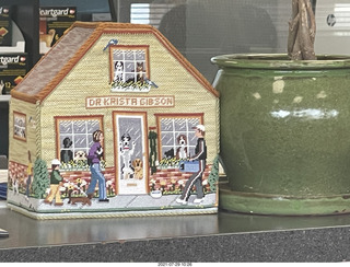 Dr. Krista Gibson's cat Kendra