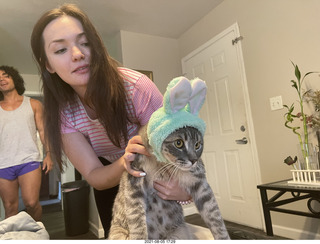 cat Potato in my computer cabinet