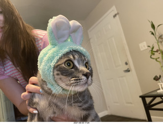 Potato with rabbit-ears cap