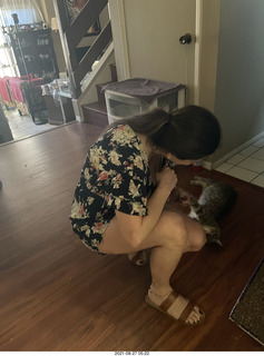 Olga's flowers and cat Potato